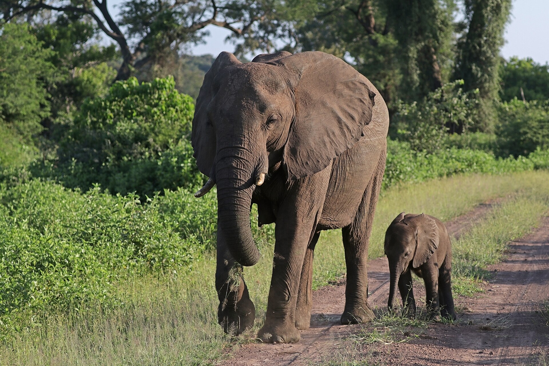 Tourism